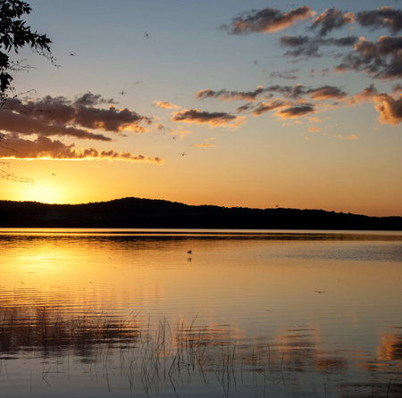 Sunset over a lake with silhouettes of trees in the backgroundの写真素材