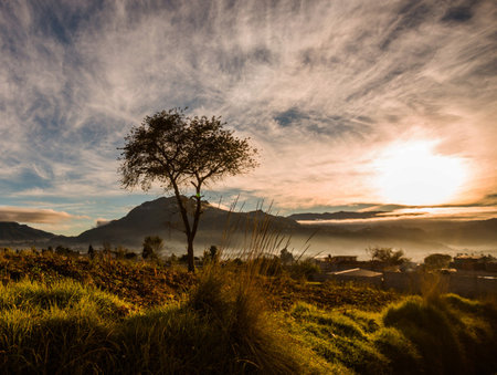 Beautiful sunrise in the morning at Mon Cham, Chiang Mai, Thailandの写真素材