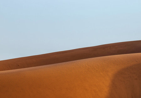 the empty quarter  and outdoor  sand  dune in oman old desert rub al khali