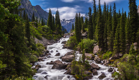 Mountain stream in a national park, California, United States.の写真素材