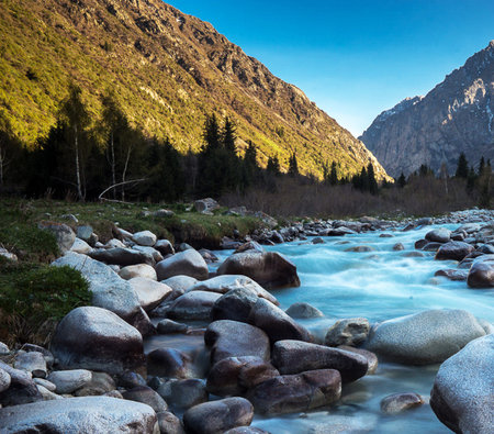 Mountain river in the valley. Altai, Siberia, Russiaの写真素材