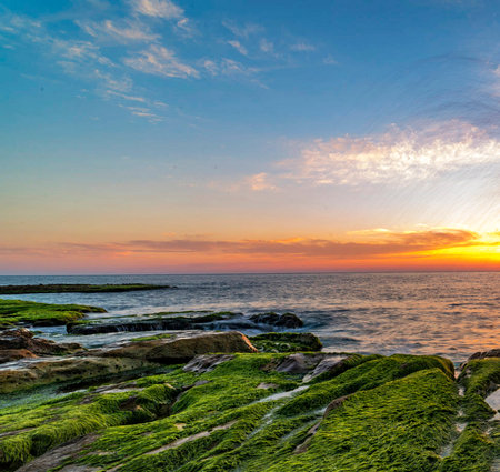 Sunset over the sea with green moss. Beautiful natural background.の写真素材