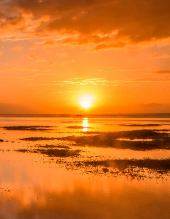 Beautiful sunset over the sea. Nature composition. Copy space.の写真素材