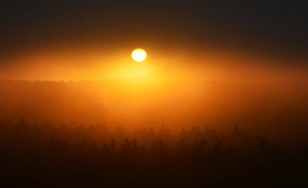 Sunrise in the misty forest. The sun goes down.の写真素材