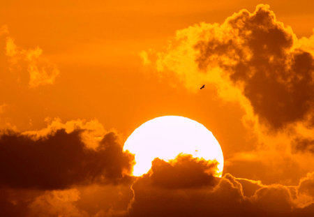 Sunset sky with clouds and birds. Beautiful orange sunset sky.