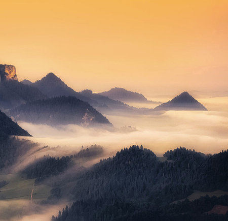 Foggy sunrise in the mountains. Colorful summer landscape.の写真素材