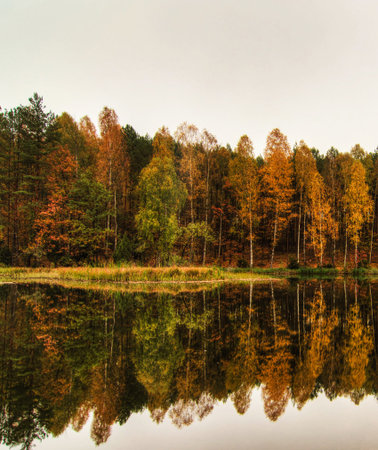 Autumn forest reflected in the lake. Beautiful autumn landscape with trees