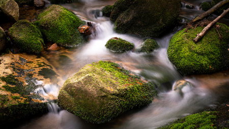 Mossy stones on the river in the forest. Long exposureの写真素材