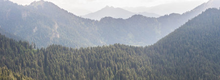 Panoramic view of the mountains and forests in the fog.