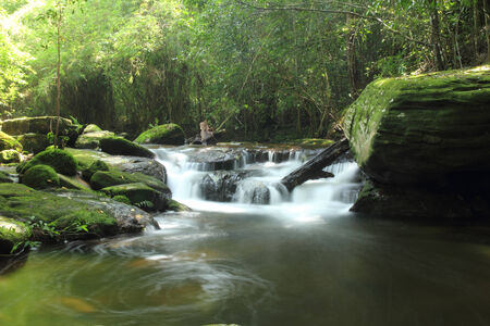 waterfall with lush foliage and mossy rocksの写真素材