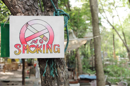 No smoking sign hang on tree.の写真素材
