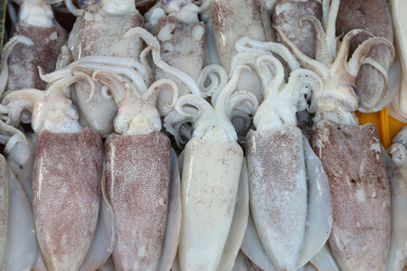 Fresh Squid on a market stall.Delicious sea food.の写真素材