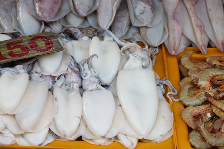 Fresh Squid on a market stall.Delicious sea food.の写真素材