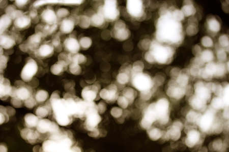 Defocused abstract bokeh background.の写真素材