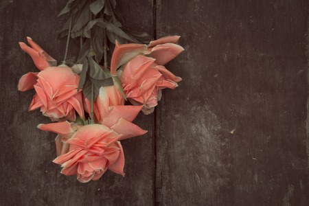 Roses on a wooden floor - Vintage style .の写真素材