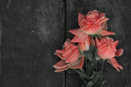 Roses on a wooden floor - Vintage style .の写真素材