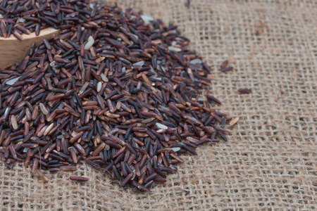 Uncooked brown rice (Riceberry) on sack.の写真素材