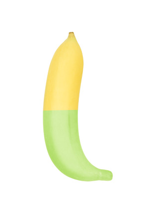 Ripe banana raw banana in the same result.の写真素材
