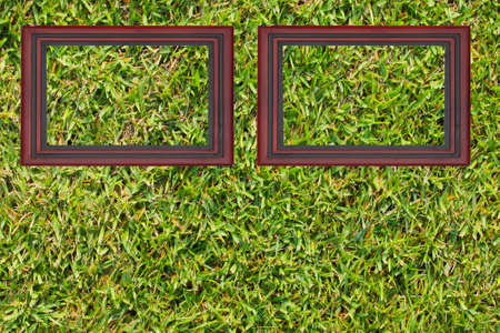 picture frames on green grass.の写真素材