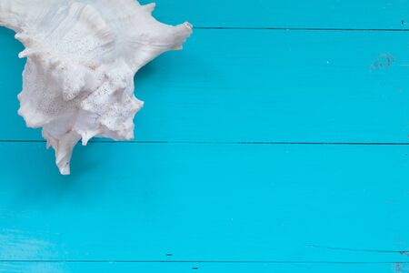 Summer concept : Seashells on wood background. Top view with copy space
