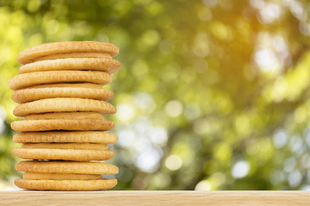 Cracker cream cheese with abstract nature bokeh blur background.