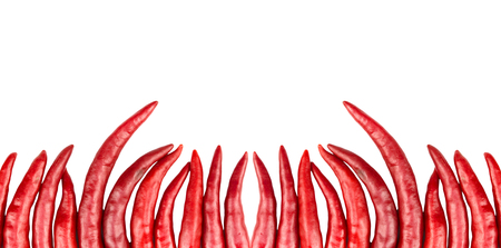 red chili pepper isolated on a white backgroundの写真素材