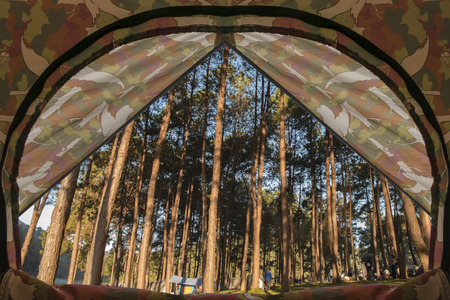 Tent lookout in pine forest beside the lake in the morning at Pang-ung, in Mae Hong Son,Thailand.の写真素材