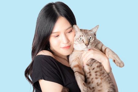 portrait of happy woman is holding cute cat isolated on blue background.の写真素材