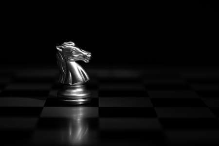 The horse chess pieces battle, silver horse chess on chessboard. Business leader concept.の写真素材