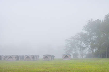 Camping and tent in nature and morning with fog.の写真素材