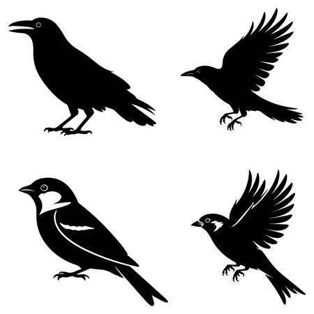 Set of black ravens isolated on white background. Vector illustration.のイラスト素材