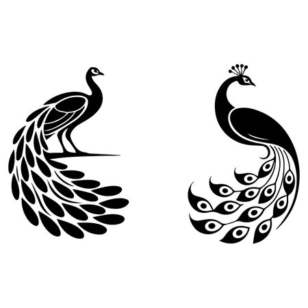 Peacock. Black silhouette on a white background. Vector illustration.のイラスト素材