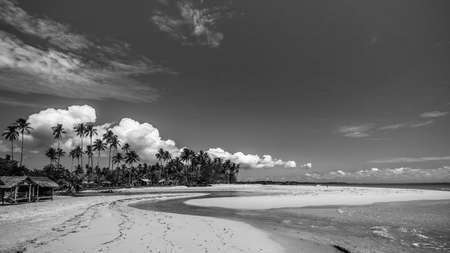 Blackwhite Photos landscape Wonderful  Batam Bintan Indonesia
