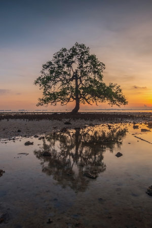 Wonderful Sunset at Batam Bintan Island Indonesiaの写真素材