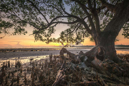 Wonderful Sunset at Batam Bintan Island Indonesiaの写真素材