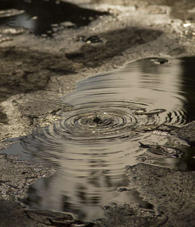 waterの写真素材