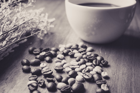 Coffee bean with white cup in vintage toneの写真素材