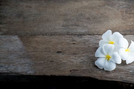 white flower on wood black groundの写真素材