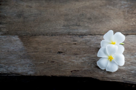 white flower on wood black groundの写真素材
