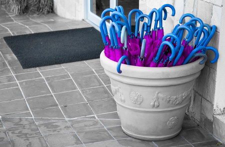 The violet umbrella wtih blue handle in the pot on black and white background in vintage style close-upの写真素材