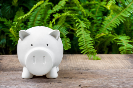 Gold coins stacks for money saving with green tree background on wood table for advertisement, business and investmentの写真素材