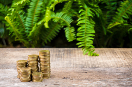 Gold coins stacks for money saving with green tree background on wood table for advertisement, business and investmentの写真素材