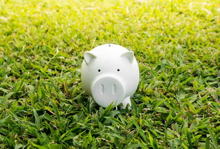 White piggy for money saving on green grass backgroundの写真素材