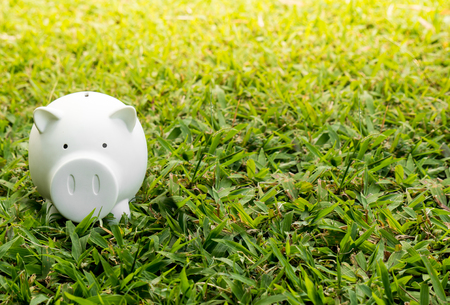 White piggy for money saving on green grass backgroundの写真素材
