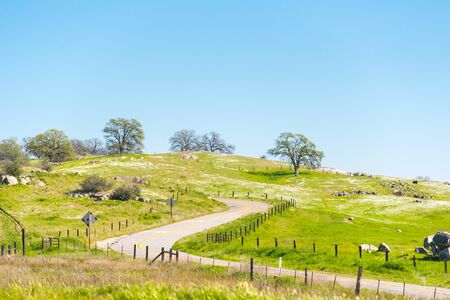 Curvy road country side in California with green grass and blue skyの写真素材