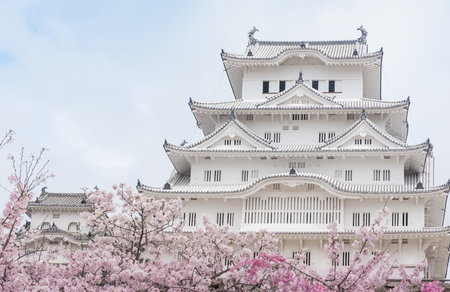 Japan Himeji castle , White Heron Castle in beautiful sakura cherry blossom seasonのeditorial素材