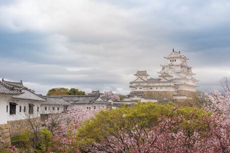 Japan Himeji castle , White Heron Castle in beautiful sakura cherry blossom seasonのeditorial素材