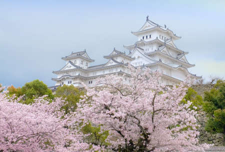White Castle Himeji Castle in cherry blooson sakura blooming in the front and blue skyのeditorial素材