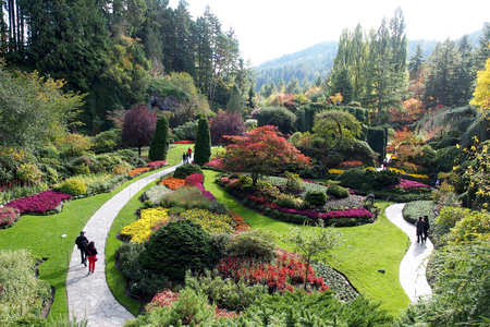 Trees in the gardenの写真素材