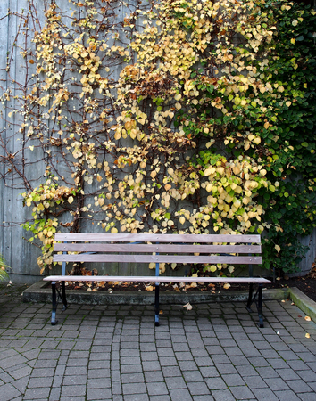 Bench in the gardenの写真素材